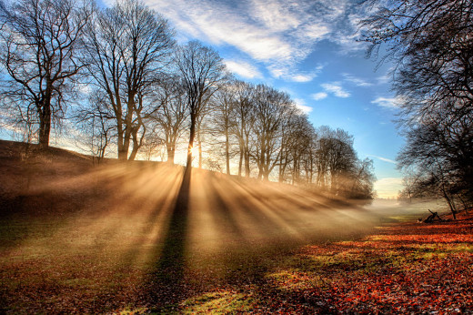 706797 (a): :2500x1661